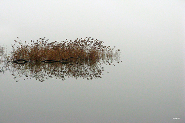 The River at 9 AM