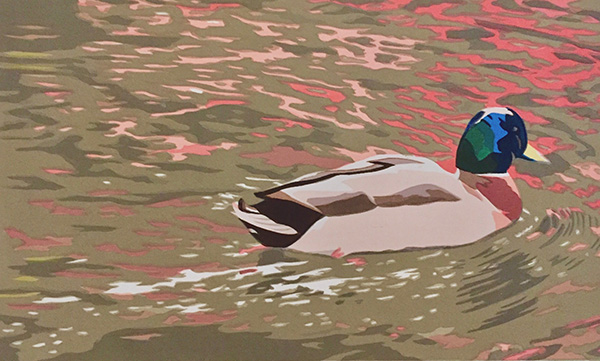 Mallard in Autumn