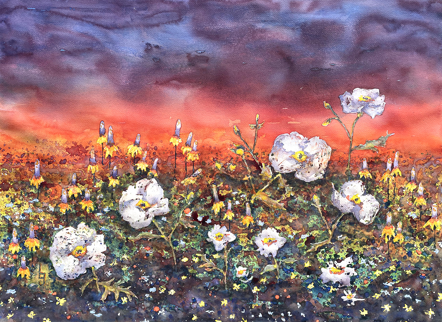 Prickly Poppy - for The Idaherma Museum exhibit