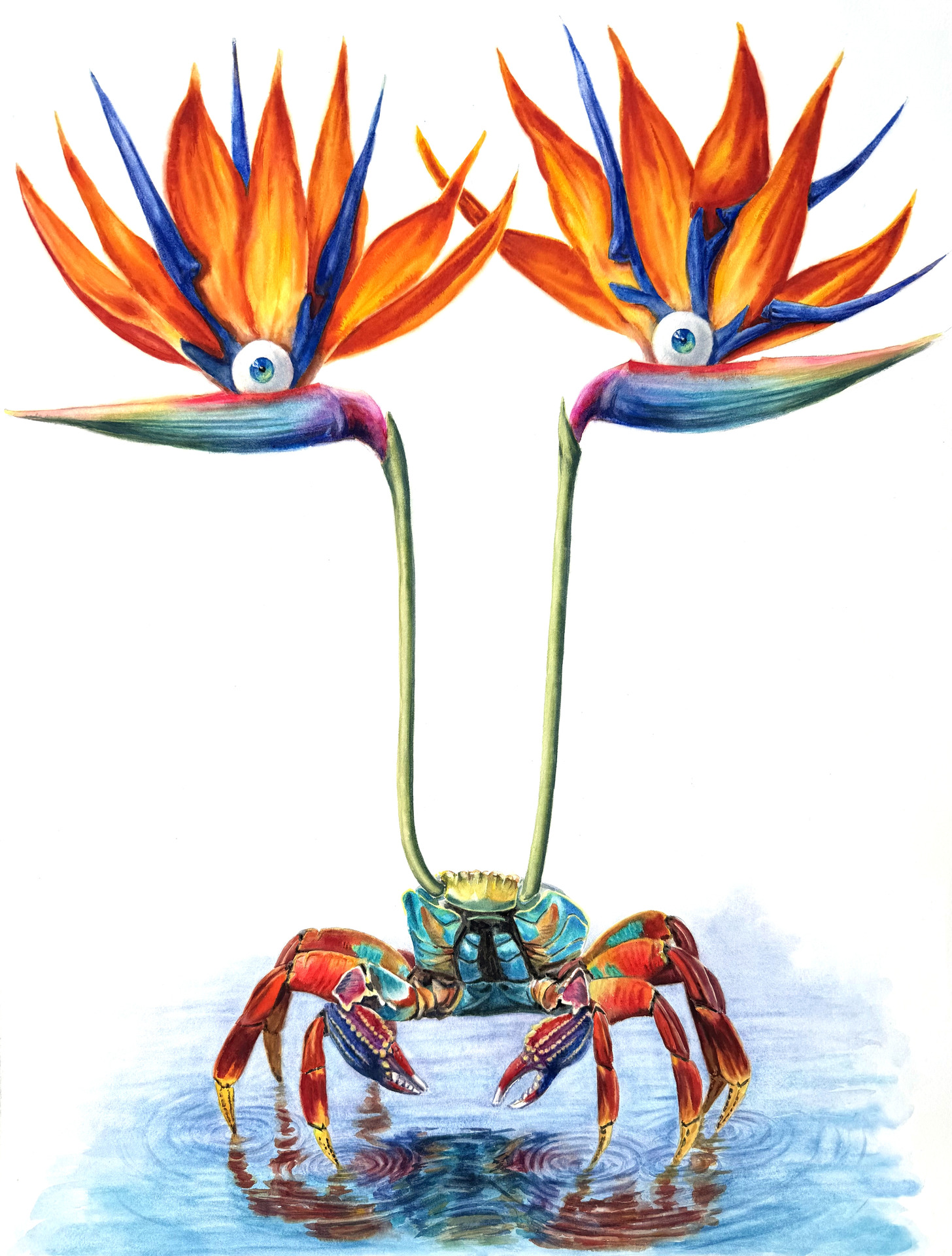 Rainbow Crab. Eternal Flame of Pride