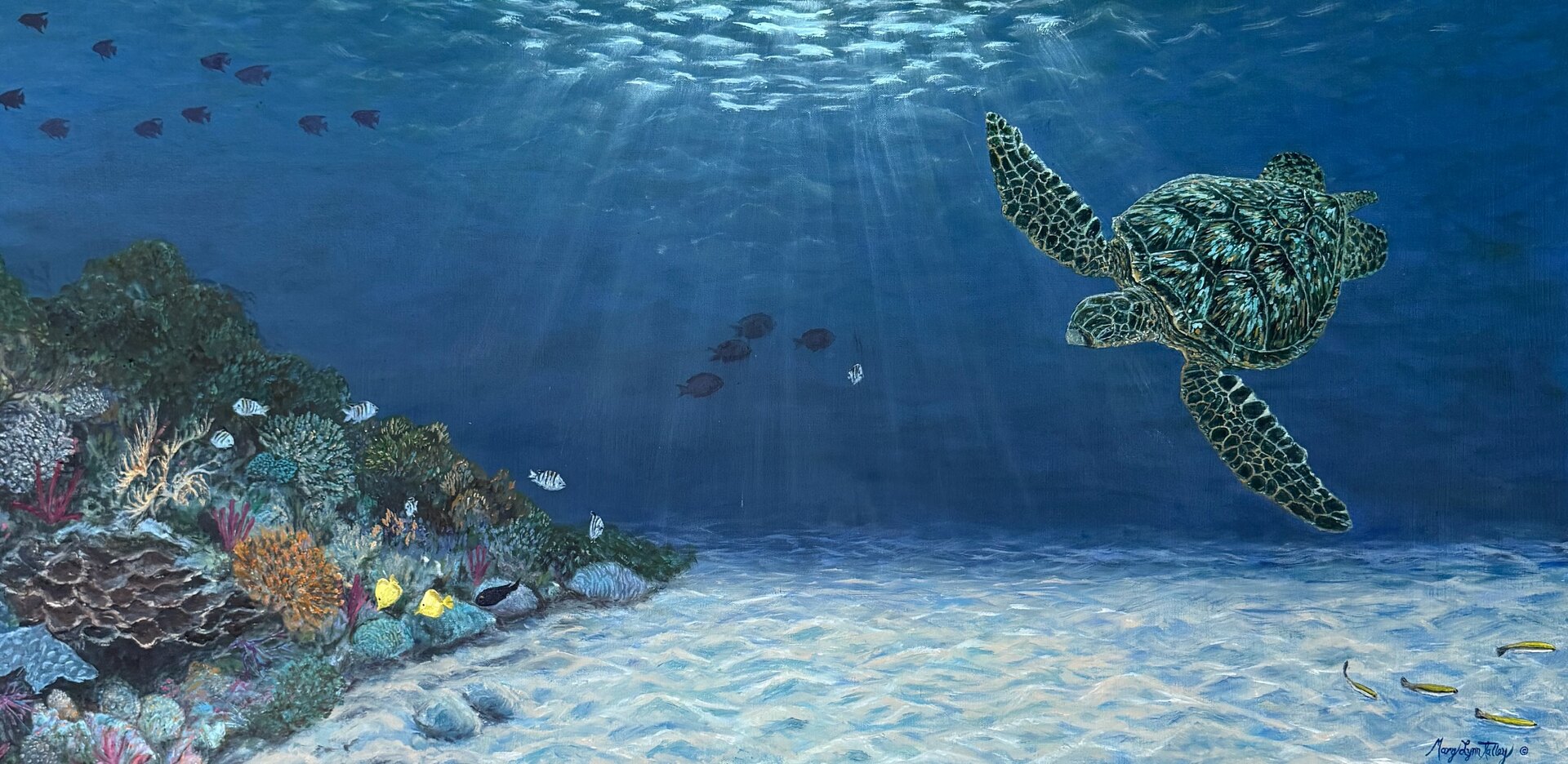 Echoes of a Fragile Sea - in floating frame