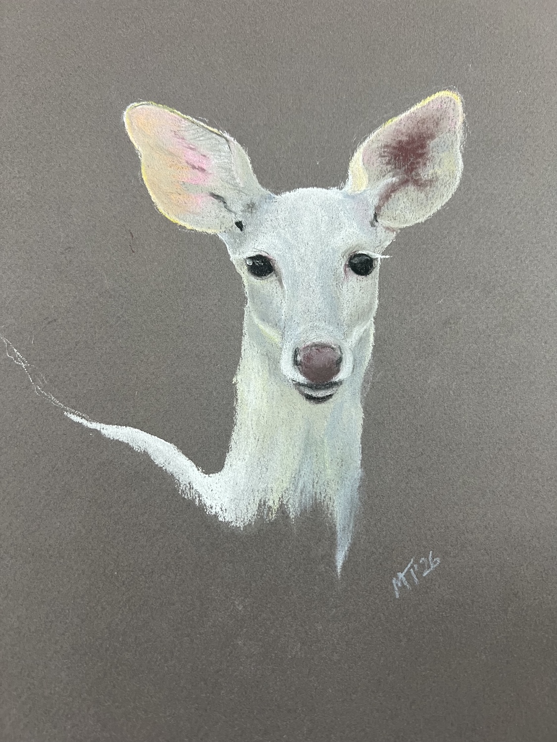 Lee's Deer
